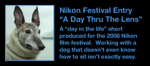 Nikon Festival Entry