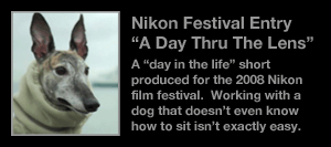 Nikon Festival Entry